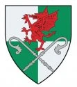 Wrexham RFC logo